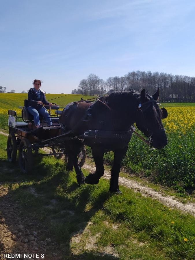 Veritable Roulotte Hippomobile "La Bailleul" Mentheville Eksteriør billede
